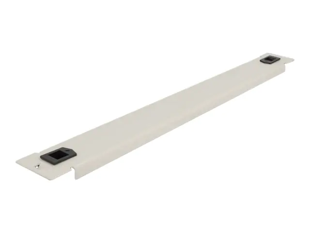 Delock Rack-Blindabdeckungsplatte - Grau - 1U - 48.3 cm (19") 66630
