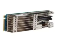 Brocade Broadcom MegaRAID 9524-8i - Speichercontroller (RAID) 05-50170-00