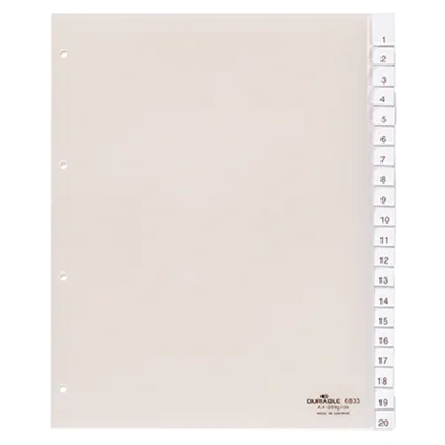 DURABLE Register 683319 245x297cm 20teilig Hartfolie tr