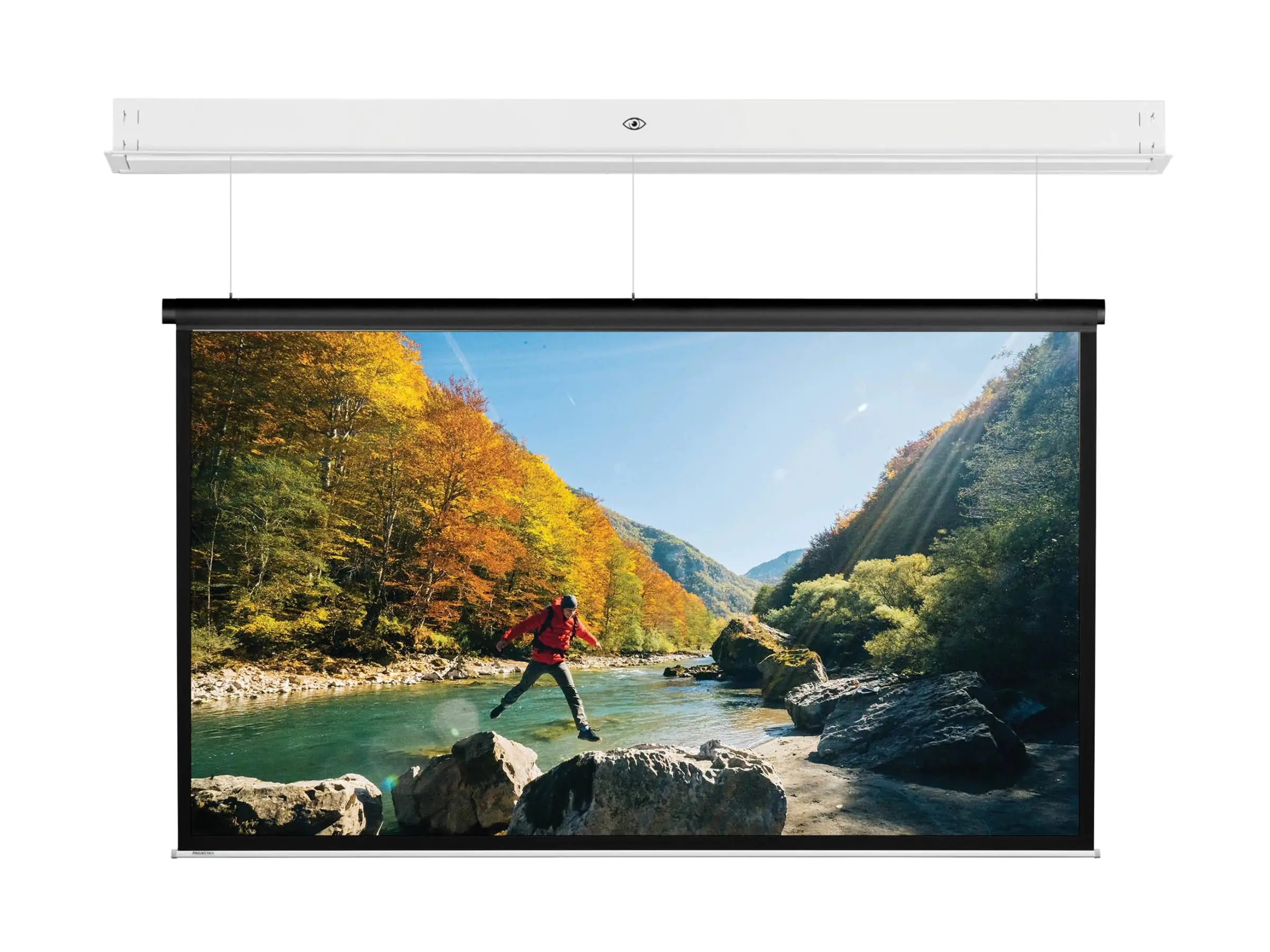 Projecta DescenderPro - Leinwand - Sightline-Kabelabwurf - Deckenmontage - motorisiert - 230 V - 338 cm (133.07") 10101740