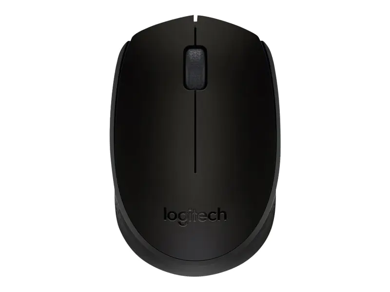 Logitech M171 - Maus - rechts- und linkshändig - kabellos - 2.4 GHz - kabelloser Empfänger (USB) - Schwarz