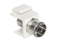 Delock Modularer Einschub (Kopplung) - ICE -Anschluss