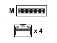 Lenovo Breakout-Direktanschlusskabel - QSFP28