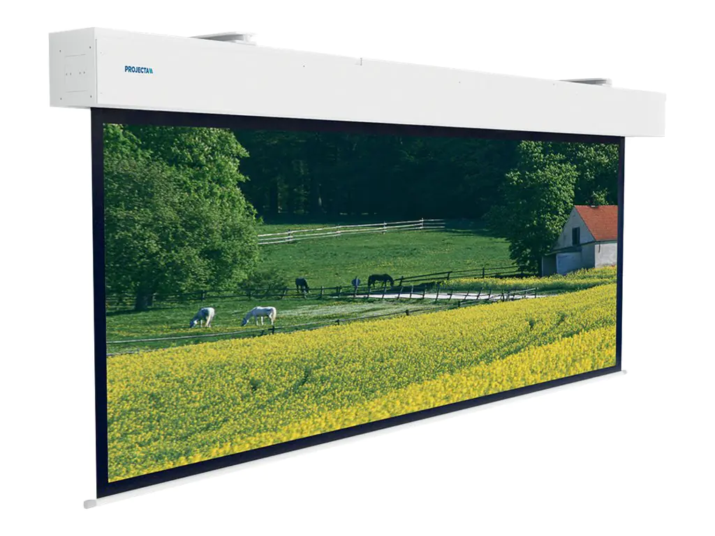 Projecta Elpro Large Electrol Standard Format - Leinwand - Deckenmontage möglich, geeignet für