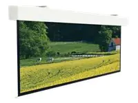 Projecta Elpro Large Electrol Square Format - Leinwand - Deckenmontage möglich, geeignet für