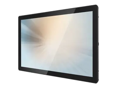 MicroTouch Open Frame Series OF-195P-B2 - LCD-Monitor - 49.5 cm (19.5")