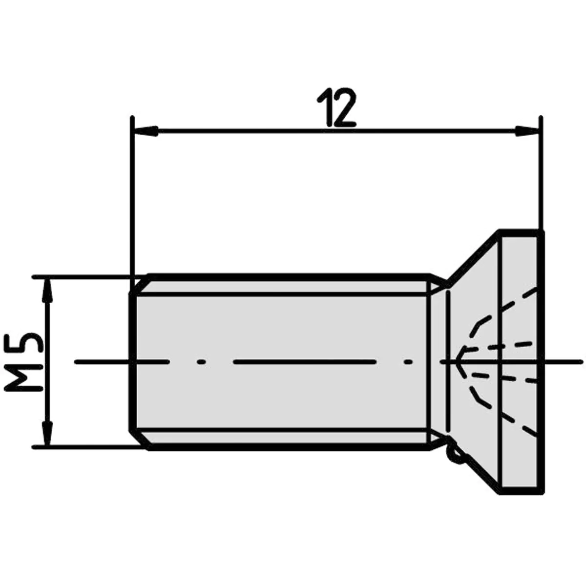 Schroff SCREW P/CSK TT M5X12 100PCS