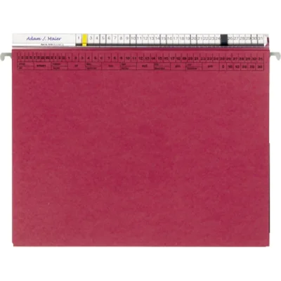 ORGALEX Hängehefter 1207752 2Abheftvorr. Re-Heftung bordeaux