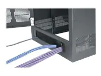 Middle Atlantic Products Middle Atlantic BGR Series BGR-RDC25 - Rack-Tür