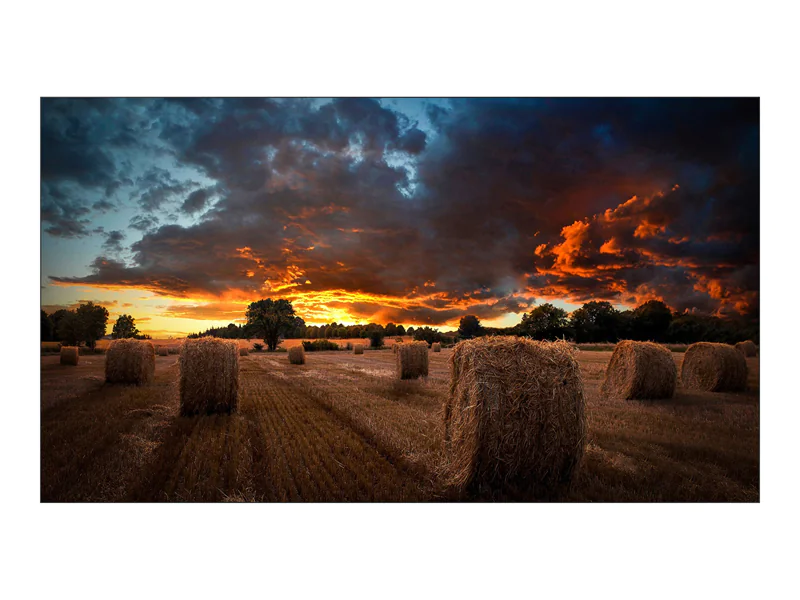 Samsung VM55B-U - 140 cm (55") Diagonalklasse VMB-U Series LCD-Display mit LED-Hintergrundbeleuchtung - Digital Signage - 1080p 1920 x 1080