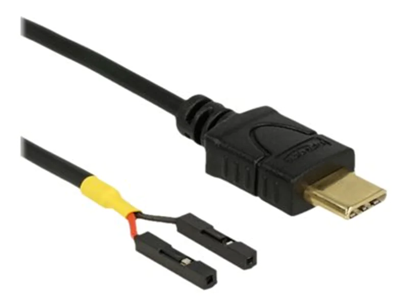 Delock - USB-Kabel - USB-C (M) zu 2-poliger USB-Header (W) getrennt - USB 2.0 - 10 cm - Schwarz