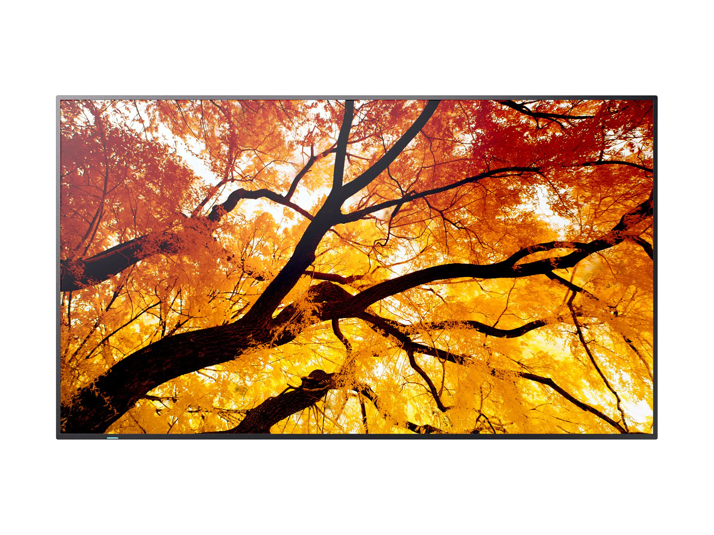 Sharp MultiSync PN-M982 - 247.7 cm (98") Diagonalklasse M2 Series LCD-Display mit LED-Hintergrundbeleuchtung - Digital Signage - 4K UHD (2160p) 60006059