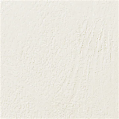 GBC Einbanddeckel LeatherGrain CE040070 DIN A4 weiß 100 St./Pack.