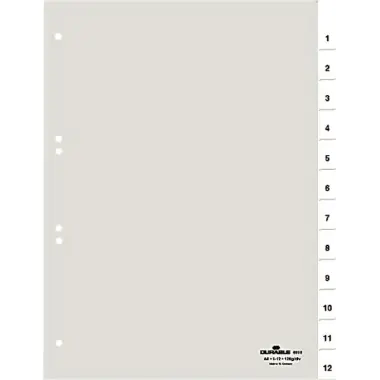 DURABLE Ordnerregister 681019 1-12/Jan-Dez A4 umschweißte Taben