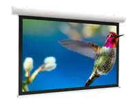 Projecta Elpro Concept RF HDTV Format - Leinwand - Deckenmontage möglich, geeignet für Wandmontage