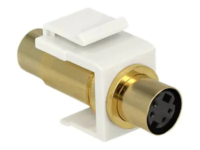 Delock Modulare Eingabe - Mini-DIN 4-polig
