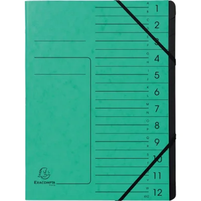 Exacompta Ordnungsmappe 541203E DIN A4 12Fächer Karton grün