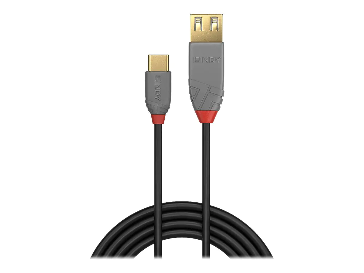 Lindy Anthra Line - USB-Kabel - USB (M) zu 24 pin USB-C (M) - USB 2.0 - 15 cm