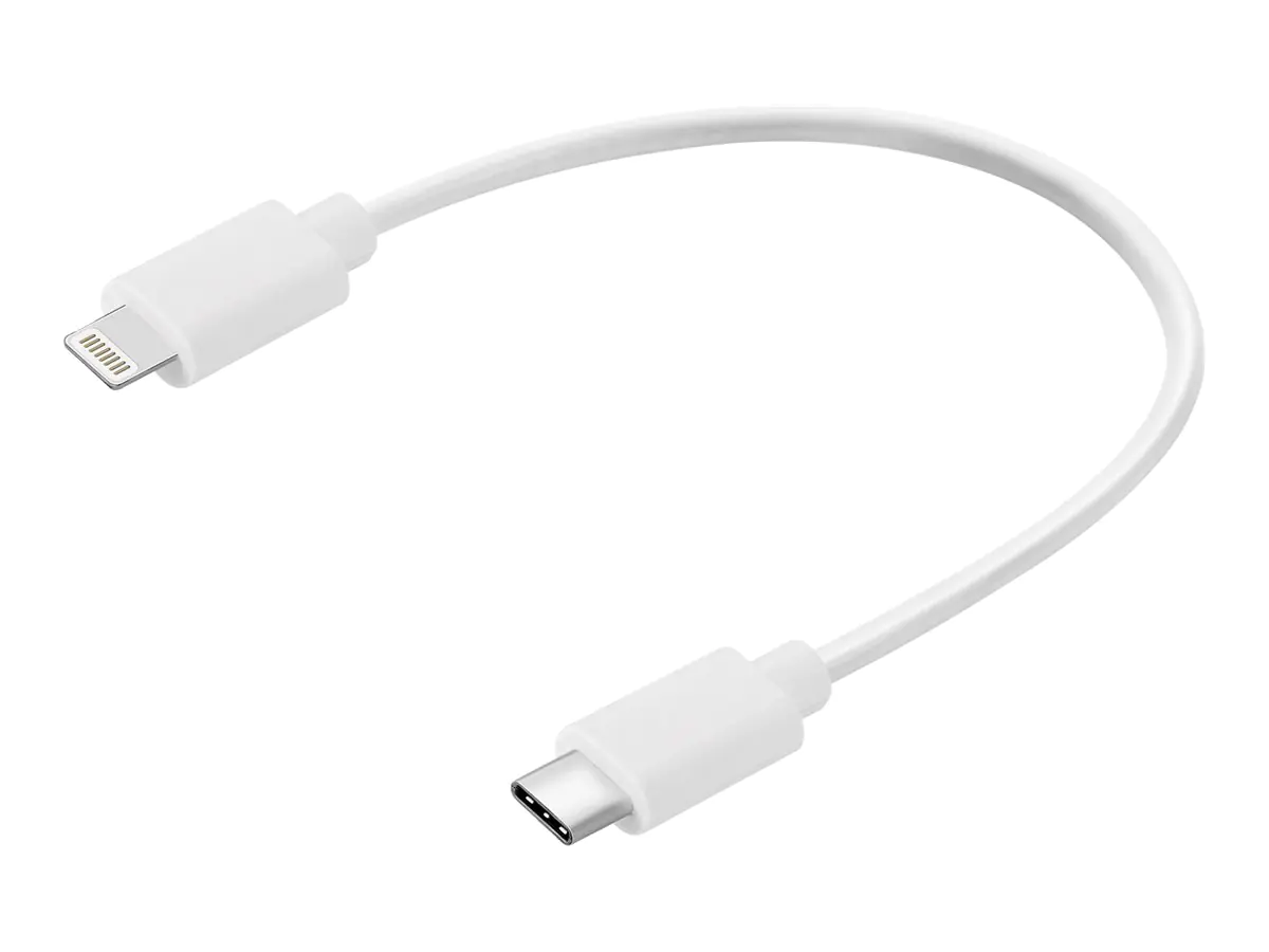 SANDBERG Lightning-Kabel - 24 pin USB-C männlich zu Lightning männlich