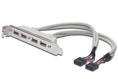 ASSMANN - USB-Konsole - 10 PIN IDC (W) zu USB (W) - 25 cm - geformt - beige
