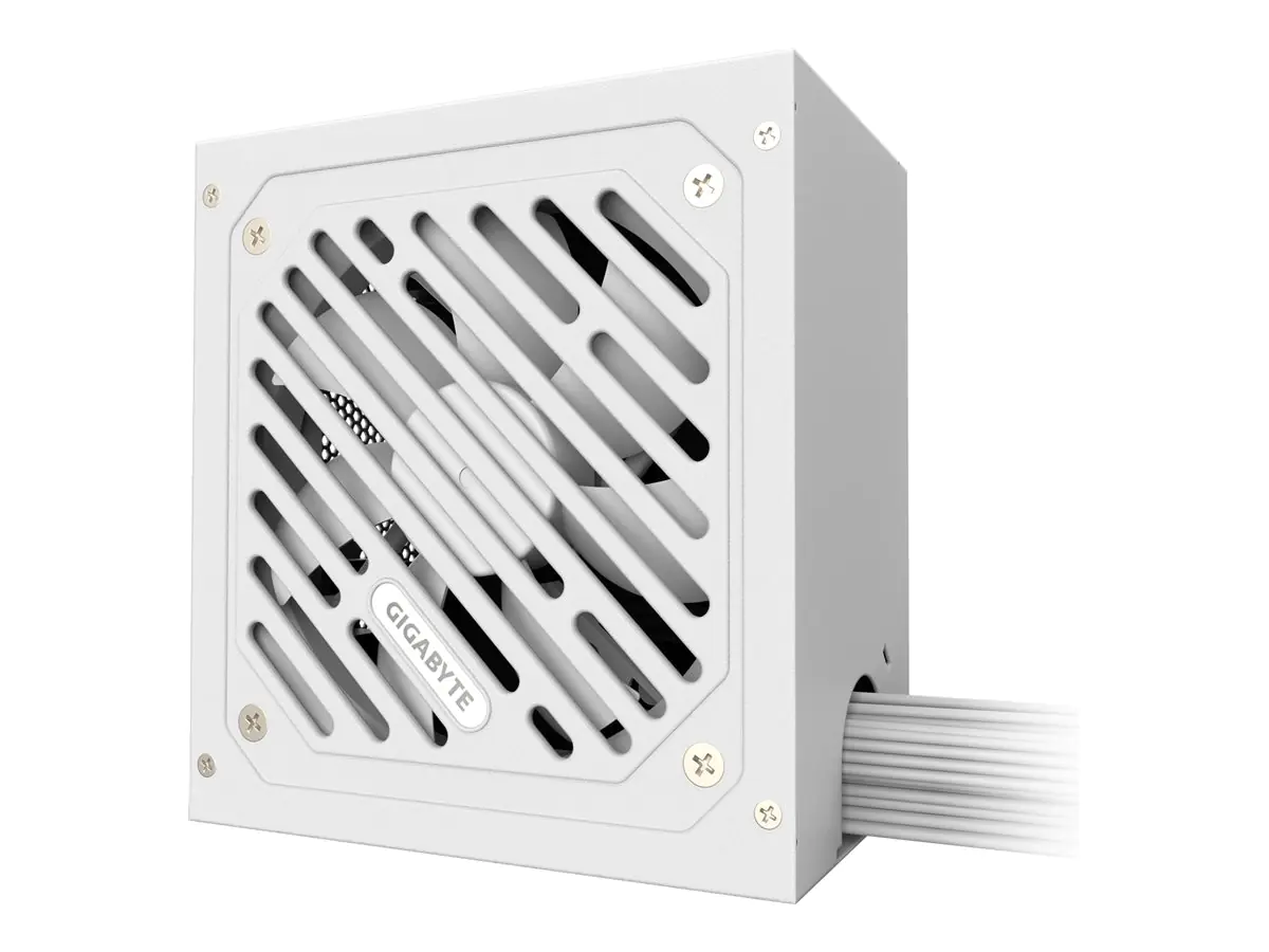 Gigabyte P650SS ICE - Netzteil (intern) - ATX12V 3.0/ EPS12V - 80 PLUS Silver - AC 155-240 V - 650 Watt - aktive PFC - Ice White