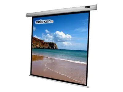 Celexon Economy electric screen - Leinwand - Deckenmontage möglich, geeignet für Wandmontage - motorisiert - 330 cm (130") - 1:1
