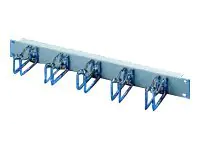 Rittal TS IT - Kabelmanagement - RAL 7035 - 1U - 48.3 cm (19") 7257200