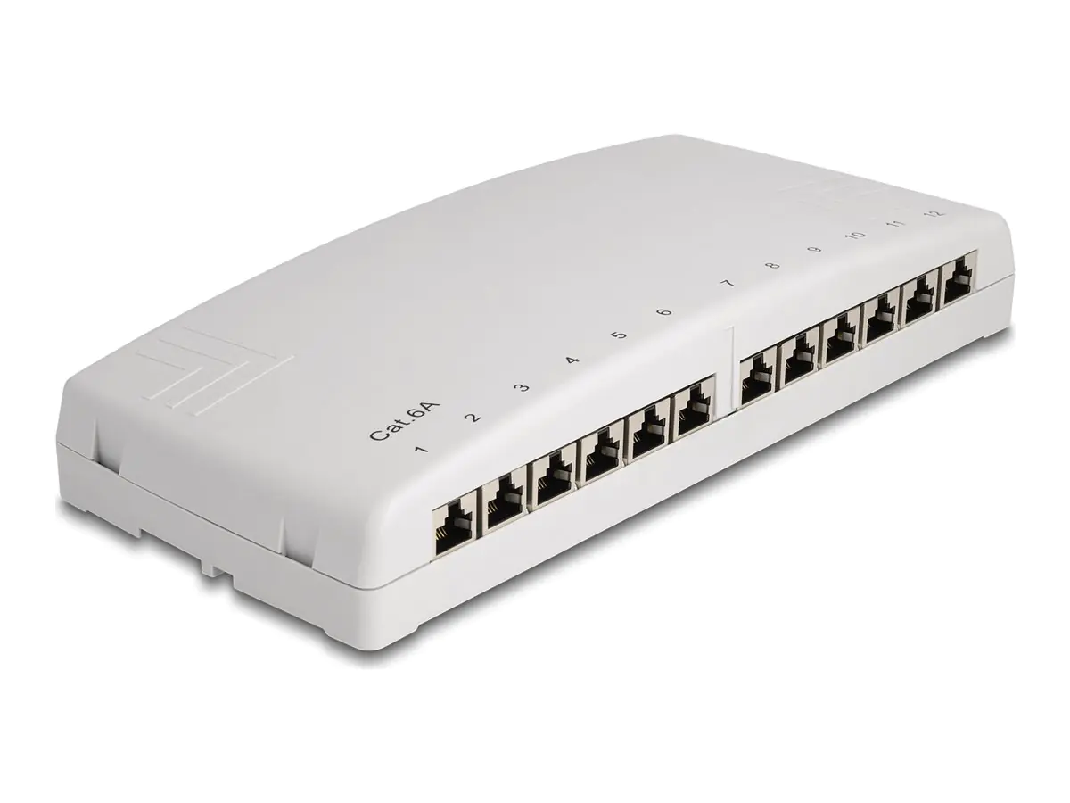 Delock Patch Panel - geeignet für Wandmontage