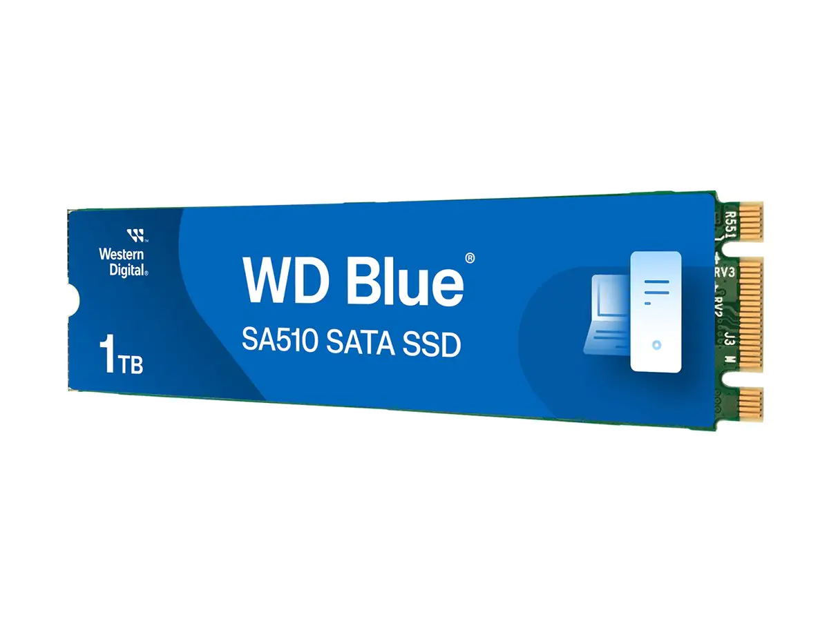 WD Blue SA510 WDS100T3B0B-00AXS0 - SSD - 1 TB - intern - M.2 2280 - SATA 6Gb/s