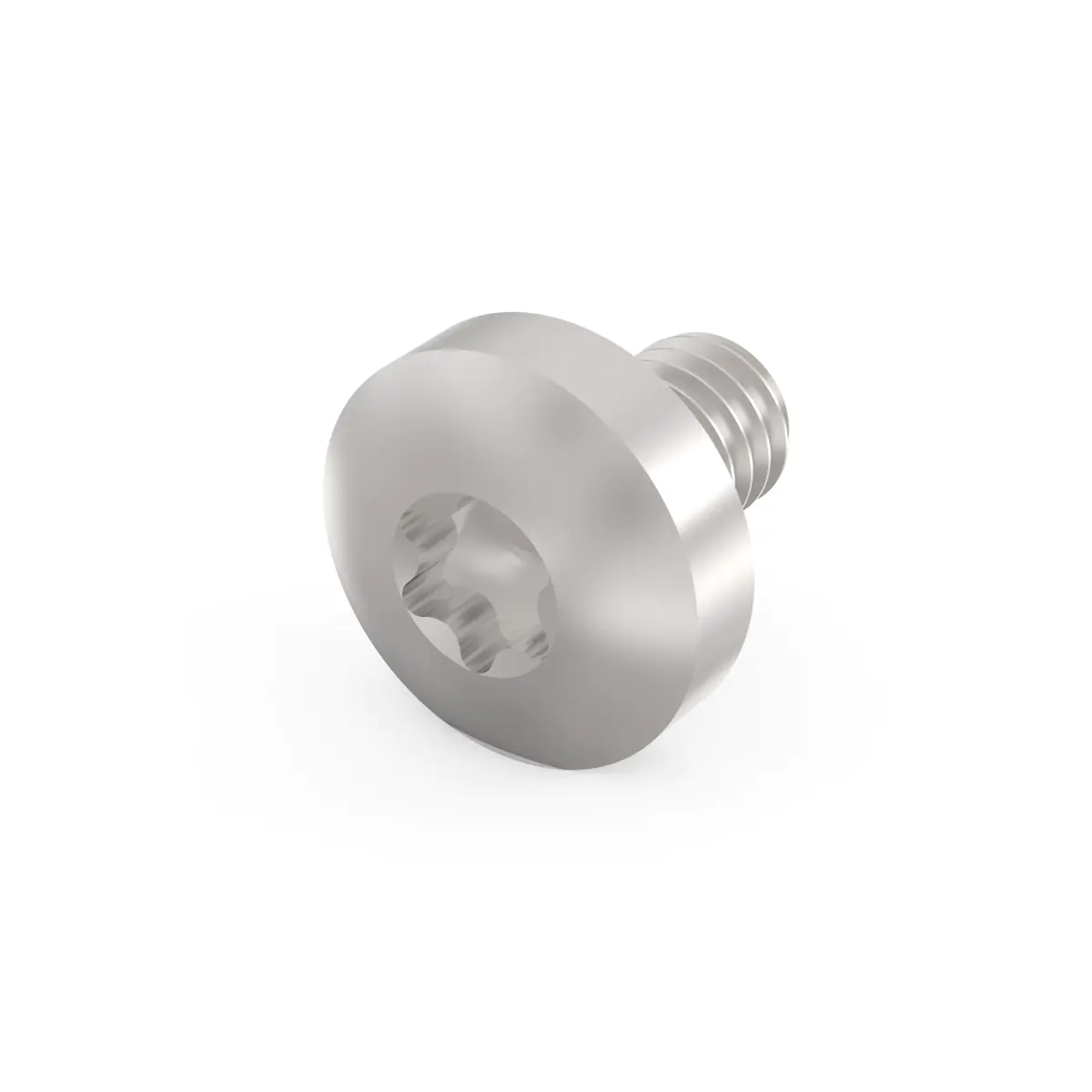 SCHROFF SCREWS PENTORX M4X6MM (100PCS)