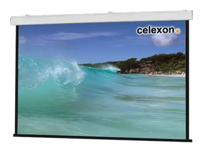 celexon Expert ceiling recessed - Leinwand - Deckenmontage, geeignet für Wandmontage -