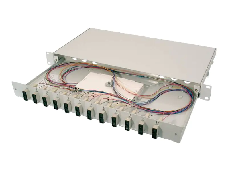 DIGITUS Professional DN-96320 - Glasfaserkabelkiste - 1U - 48.3 cm (19")