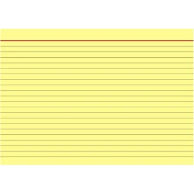 BRUNNEN Karteikarte 102250110 DIN A5 liniert ge 100 St./Pack.