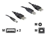 Delock Stromkabelkit - USB (M) zu USB Typ B, Gleichstromstecker 2,1 mm (M) 82461