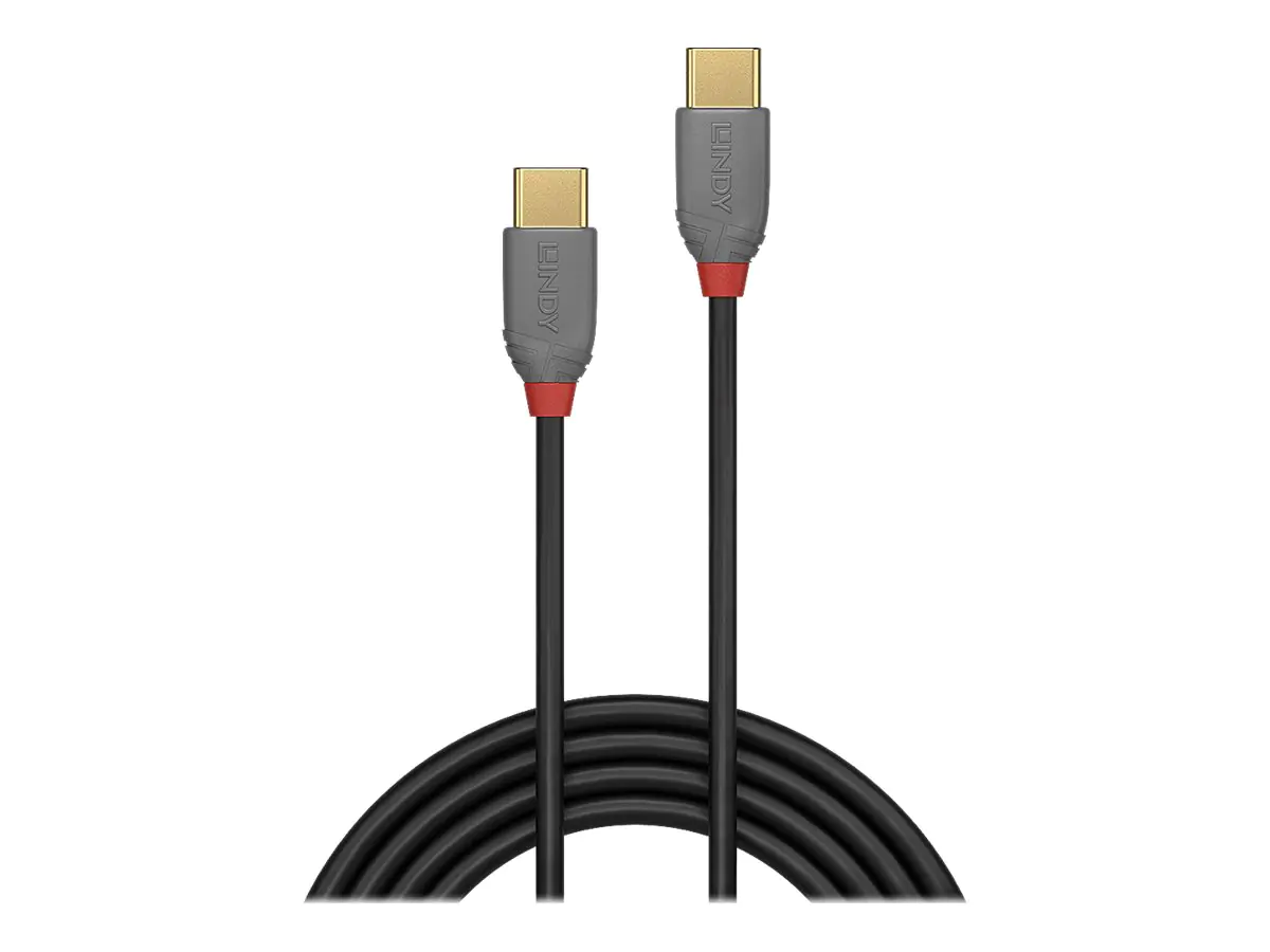 Lindy Anthra Line - USB-Kabel - 24 pin USB-C (M) zu 24 pin USB-C (M) - USB 2.0 - 2 m - rund - Schwarz