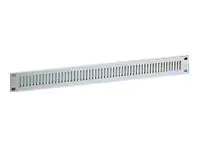 Rittal Rack-Vorderseite (belüftet) - 2U - 48.3 cm (19") 2232000