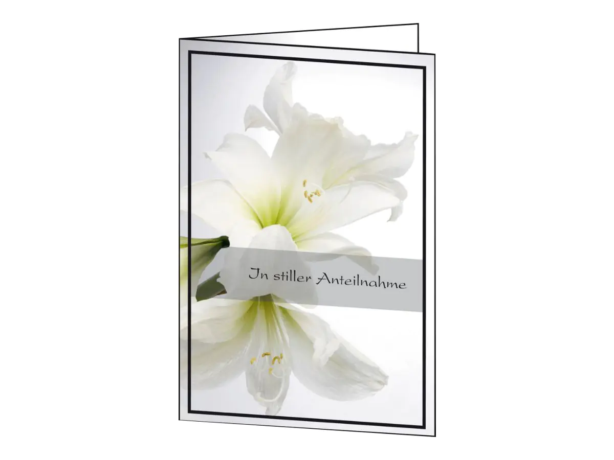 Sigel Funeral Cards DS006 - Glänzend - White Amaryllis