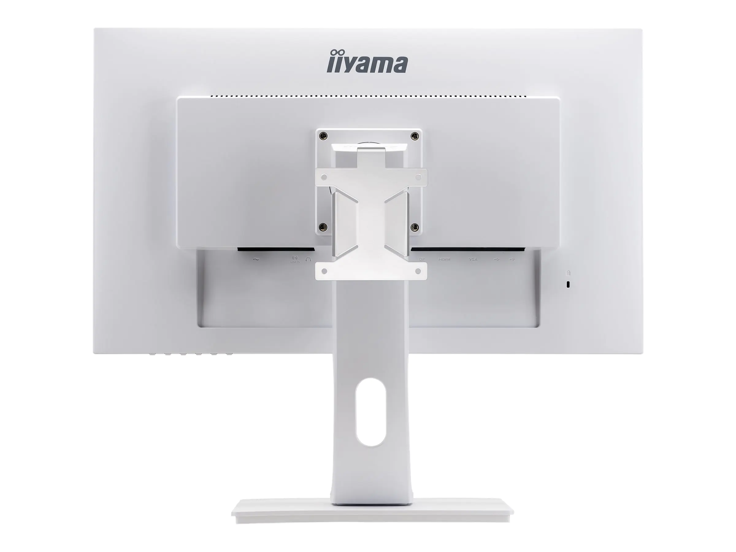 Iiyama MD BRPCV04-W - Montagekomponente (VESA-Halterung)