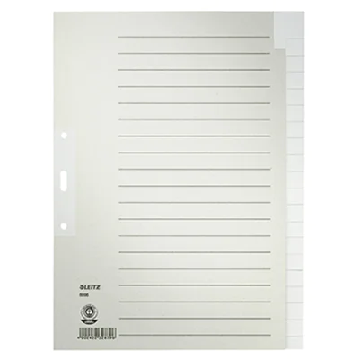 Leitz Register 60960085 blanko DIN A4 Tauenpapier grau