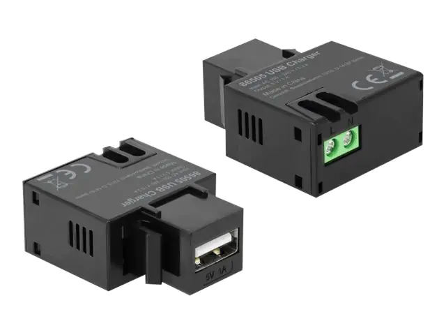DeLOCK Keystone module - Modulare Eingabe - USB-Ladefunktion - Schwarz