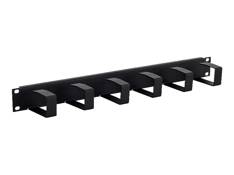 TRITON RAC-VP-X21-A1 - Kabelführungsplatte für Schaltschrank - 1U - 48.3 cm (19")