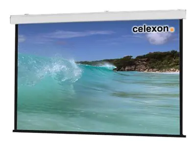 celexon Expert ceiling recessed - Leinwand - Deckenmontage, geeignet für Wandmontage -