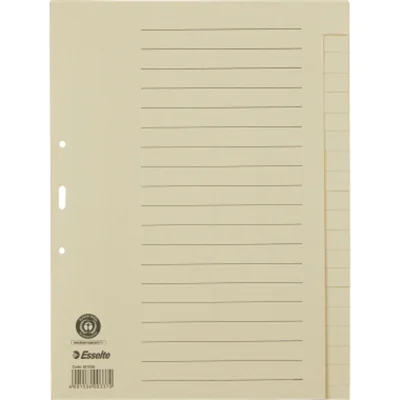 Esselte Register 621006 blanko DIN A4 20Bl. Papier chamois