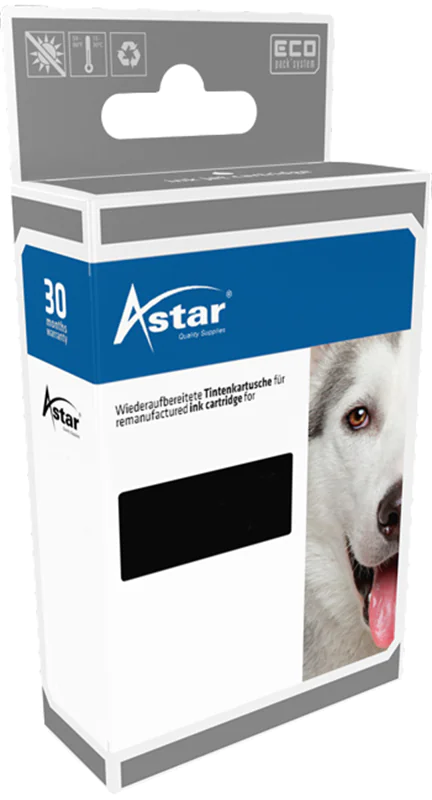 ASTAR Tinte kompatibel zu Epson C33S020602 SJI-C-22-P-(C) Cyan 32,5 ml 1 Stück