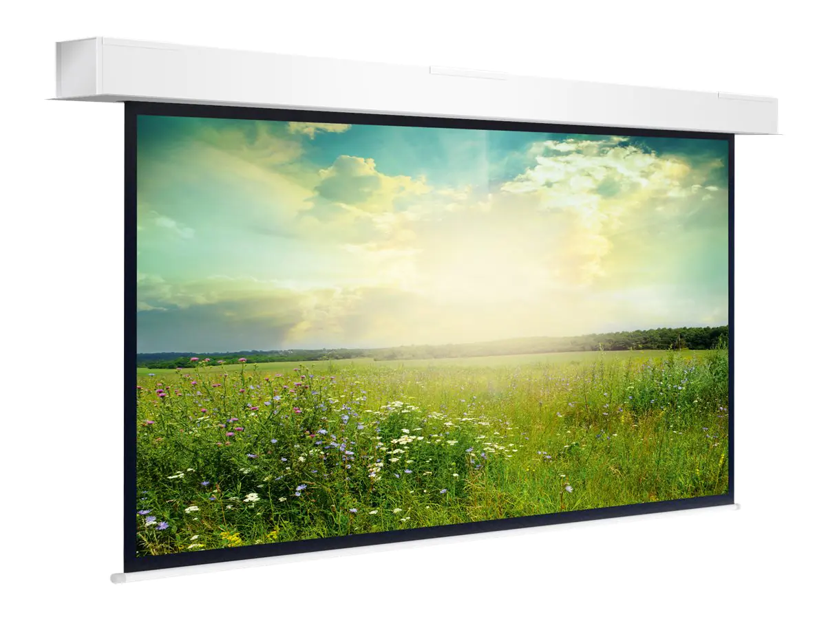 Projecta Descender Large Electrol WIDE Format - Leinwand - Deckenmontage - motorisiert - 230 V -