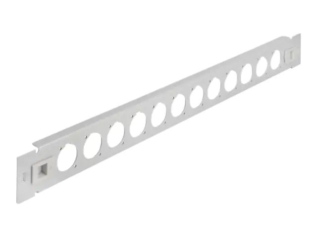 Delock Patchpanel (Blindblech) - D-Typ, werkzeugfrei - Rack montierbar - Grau - 1U - 48.3
