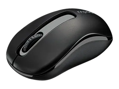 Rapoo M10 PLUS - Maus - optisch - 3 Tasten - kabellos - 2.4 GHz - Schwarz