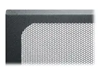 Middle Atlantic Products Middle Atlantic - Rack-Tür - Vorderseite - Schwarz LVFD-10