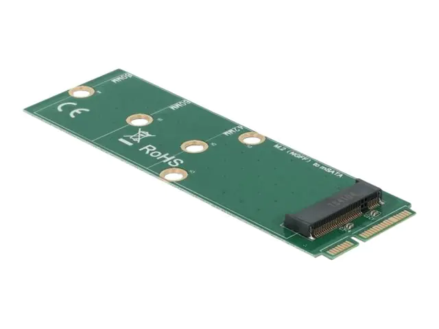 Delock - Schnittstellenadapter - M.2 - M.2 Card - mSATA