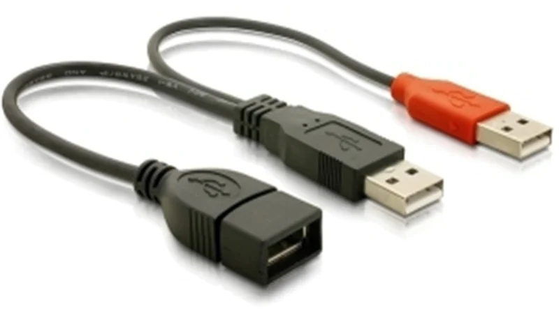 Delock - USB-Kabel - USB, USB (nur Strom) (M) zu USB (W) - USB 2.0 - 23 cm